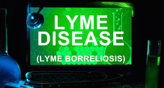 Is Lyme Disease in Australia? | Mr Vitamins