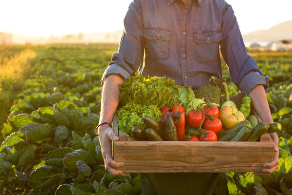 Is Organic Food Worth A Higher Price? Organic Food Week | Mr Vitamins
