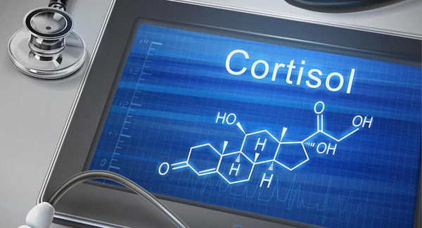 Is stress making you fat? You need to check your Cortisol | Mr Vitamins