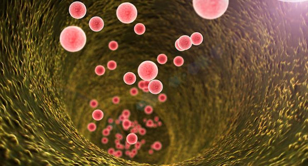 Is your Gut Microbiome changing how your mind works? | Mr Vitamins