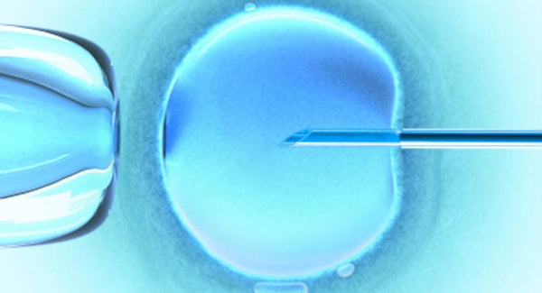 IVF Preparation Tips - What you need for Successful Conception | Mr Vitamins