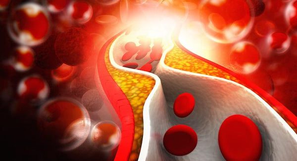 Latest Research Reveals New Treatments for Heart Disease | Mr Vitamins