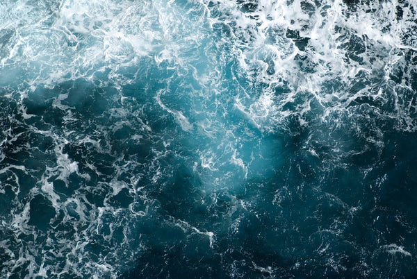 Marine Phytoplankton - A Miracle Food | Mr Vitamins