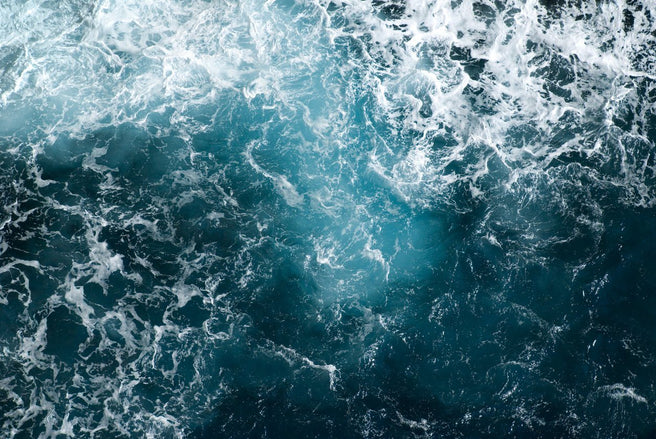 Marine Phytoplankton - A Miracle Food | Mr Vitamins