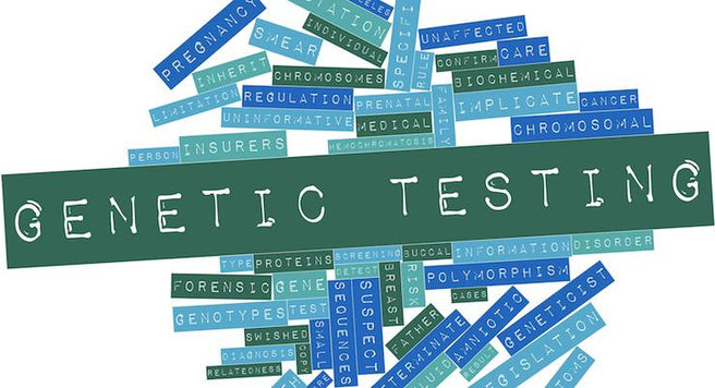 Methylation and the MTHFR gene mutation - should you be concerned? | Mr Vitamins