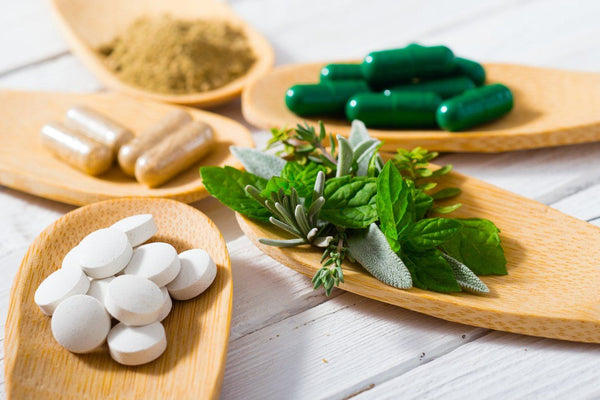 Mr Vitamins Events: Workshop Review | Mr Vitamins