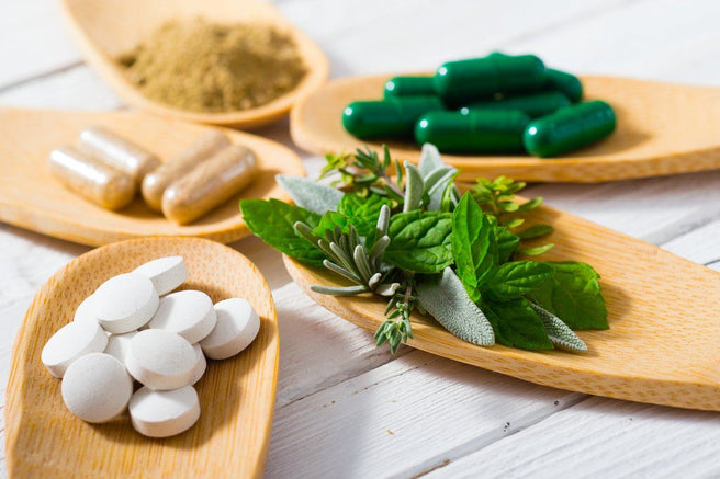 Mr Vitamins Events: Workshop Review | Mr Vitamins