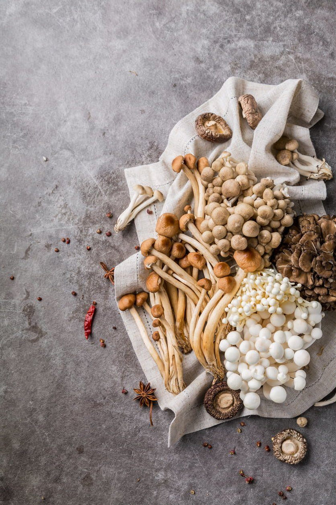 Mushrooms: their power as a superfood | Mr Vitamins