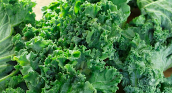 Nothing Gets You Fresh and Clean Like Chlorophyll | Mr Vitamins