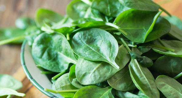Spinach Special: November Best Fruit and Veg from the Markets Report | Mr Vitamins