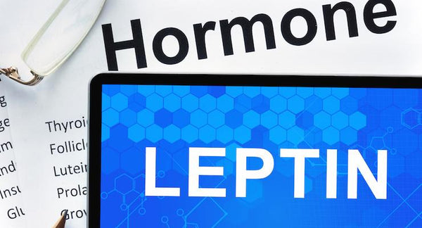 Struggling with Insulin Resistance? Leptin may be the answer… | Mr Vitamins