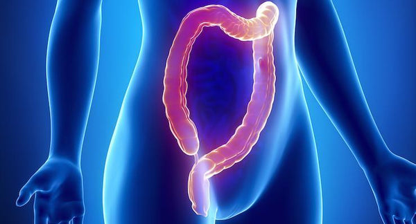 The Coffee Enema: Your Natural Gateway to Digestive and Overall Health | Mr Vitamins