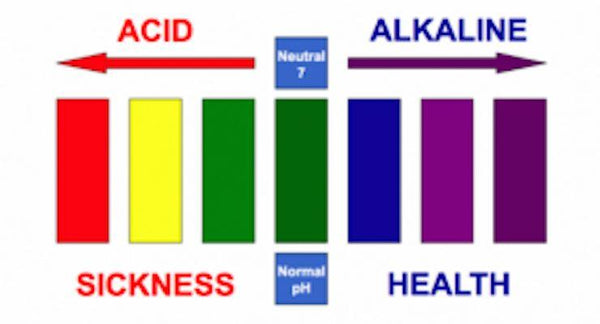 The Litmus Test – Is your Body Acid or Alkaline? | Mr Vitamins