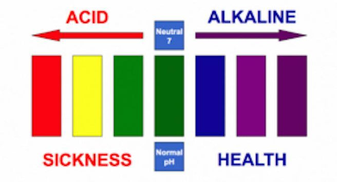 The Litmus Test – Is your Body Acid or Alkaline? | Mr Vitamins