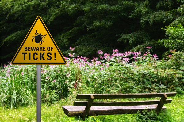 Ticked Off! Lyme Disease in Australia | Mr Vitamins