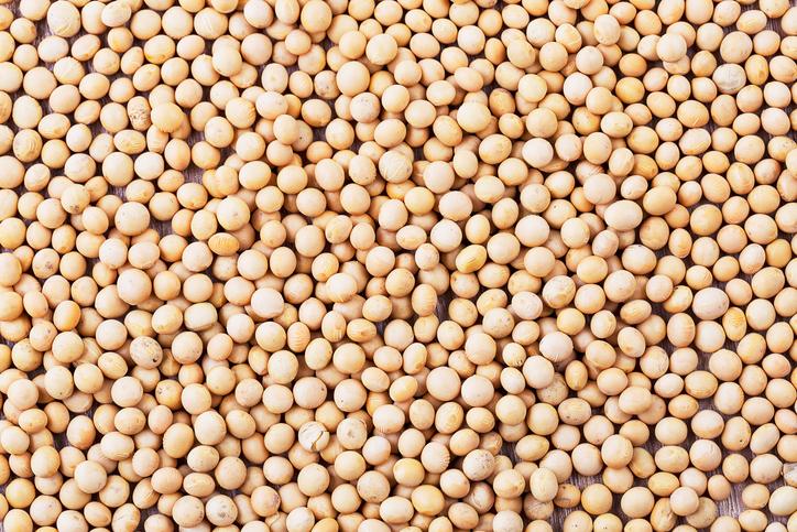 To Soy or Not to Soy…That is the Question