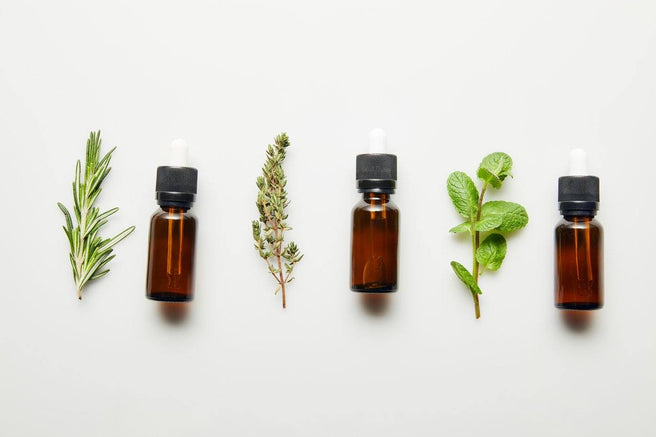 Top Essential Oil Tips for Use Around Your Home | Mr Vitamins