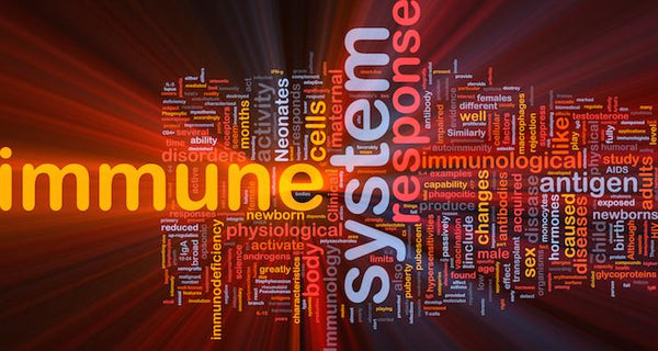 Top Tips for a strong immune system | Mr Vitamins