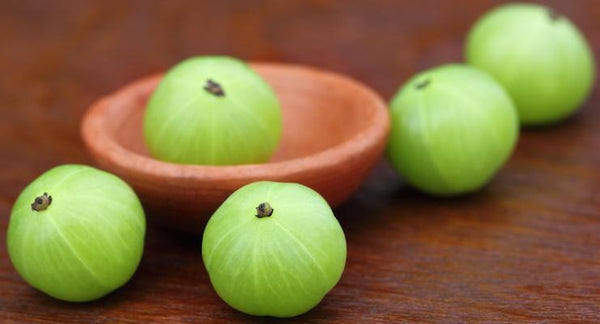What does Indian Gooseberry have to do with blood sugar? | Mr Vitamins