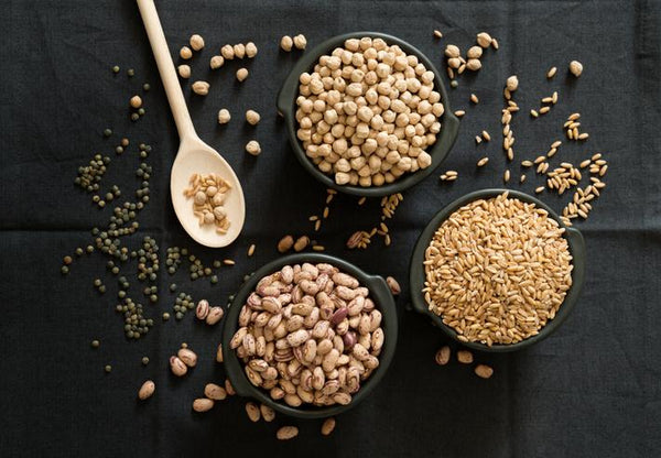 Where do Vegans get their protein? | Mr Vitamins