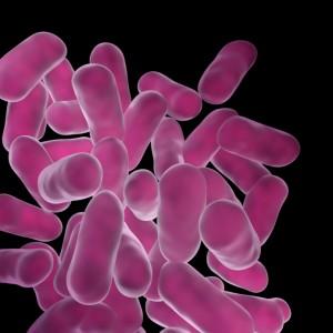 Why do you need probiotics? | Mr Vitamins