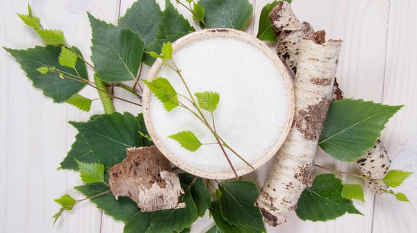 Xylitol, A Healthy Alternative to Sugar | Mr Vitamins