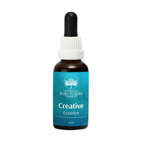 Australian Bush Flower Creative Essence | Mr Vitamins