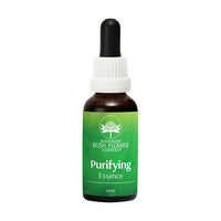AUSTBUSH PURIFYING ESSE 30ML 30ML | Mr Vitamins