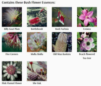 Australian Bush Flower Woman Moisturiser | Mr Vitamins