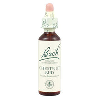 BACH CHESTNUT BUD 10ML | Mr Vitamins