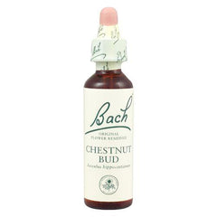 Bach Flower Remedies - Chestnut Bud