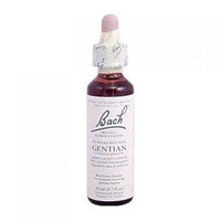 BACH GENTIAN B/F10M 10ML | Mr Vitamins