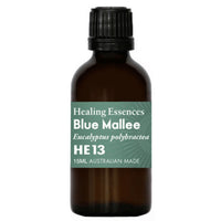 HEA ESS BLUE MALLEE 15ML | Mr Vitamins