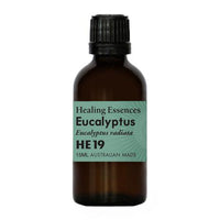 Healing Essence Eucalyptus Radiata Oil | Mr Vitamins