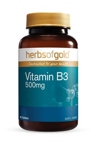 HOG VITAMIN B3 500MG 60 Tablets | Mr Vitamins