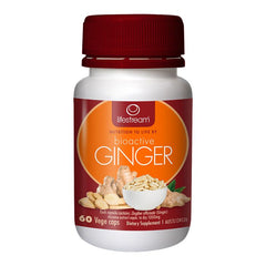 Lifestream Ginger