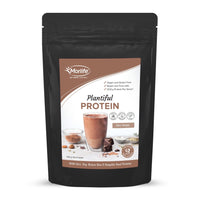MORLIFE PLANTIFUL PR 500GM Choc Brownie| Mr Vitamins