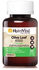 NV OLIVE LEAF 6000 120C 120 Capsules | Mr Vitamins