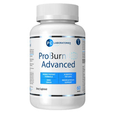 Pc Laboratories ProBURN Advanced