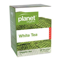 PO WHITE TEA 25BAGS 25 Tea Bags | Mr Vitamins