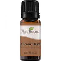 PT Clove Bud Ess 10ml 10ML | Mr Vitamins