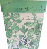 Sow N Sow Gift Of Seeds - Trio Of Herbs | Mr Vitamins