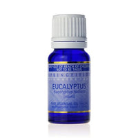 SF EUCALYPTUS OIL 11 11ML | Mr Vitamins